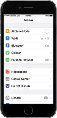 Apple01Settings Apple Settings