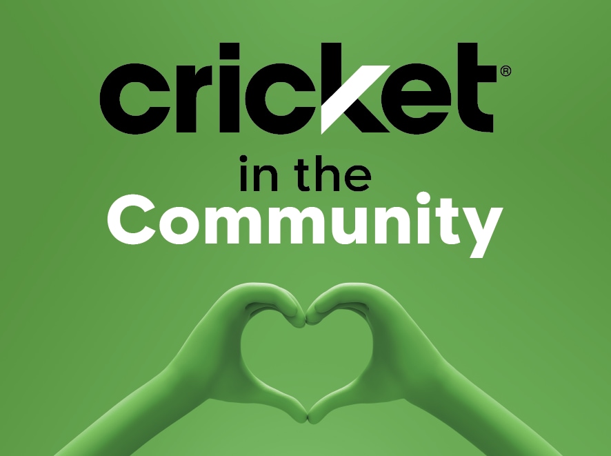 Cricket en la Comunidad
