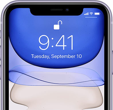 iPhone 11 imagery