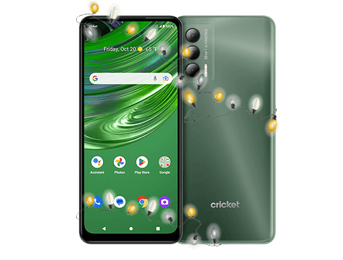 Cricket Outlast™
