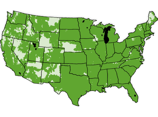 Prepaid Phones No Contract Cell Phone Plans Cricket Wireless