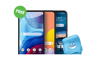 The More Phone, More Fun Megasale